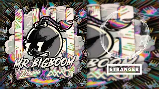 22Bullets x AXMO - Mr. BigBoom (Extended Mix)