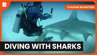 Dangerous Reef Shark Encounter - Chasing Monsters - S02 EP06 - Nature & Adventure Documentary
