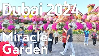 Dubai 2024 🇦🇪 Dubai Miracle Garden Walking Tour [4K]