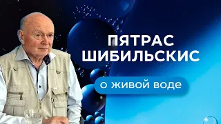 Легендарный Пятрас Шибильскис: живая и мертвая вода