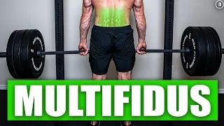 BEST Multifidus Exercises - Not What You Think! (Science Based)