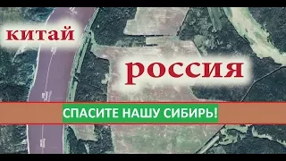 Сибирь станет пустыней! Если мы не остановим Китайцев