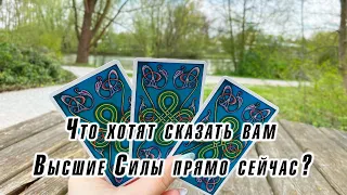 Что вам хотят сказать Высшие Силы прямо сейчас? Гадание на таро Карина Захарова