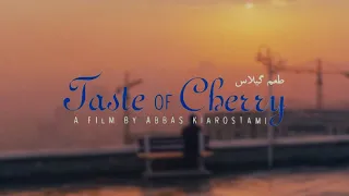 The Visuals of Abbas Kiarostami's Taste of Cherry