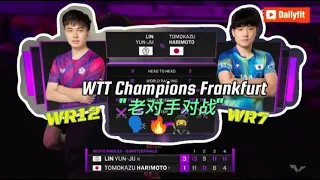 Lin Yunju (TPE) Vs Harimoto Tomokazu (JPN)| WTT Champions Frankfurt| MS Quarterfinal