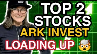 ARK INVEST BUYING THESE STOCKS RIGHT NOW!! STOCKS TO BUY NOW? PLTR STOCK A BUY NOW? LGVW STOCK A BUY