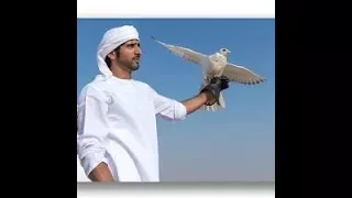 Falcon of Emirates Song - صقر الامارات - فرقة المثايل الحربية