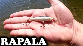 Bass Fishing With a Floating Minnow! Beginner Fishing Lure (Rapala)