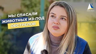 ПРИЮТ ДЛЯ БЕЗДОМНЫХ ЖИВОТНЫХ ВО ВРЕМЯ ВОЙНЫ | КАК СПАСАЮТ ЖИВОТНЫХ?