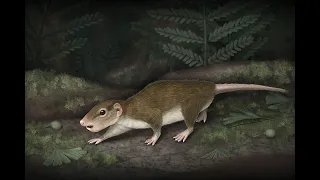 Multituberculates: 'Rodents' of the Mesozoic