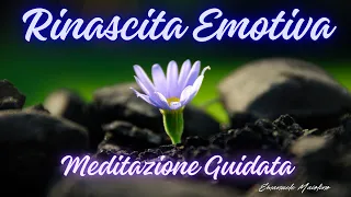 Rinascita Emotiva - Guarigione Profonda e Consapevolezza - Meditazione guidata