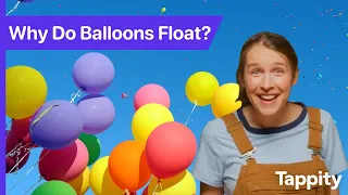 Why Do Balloons Float? | Physics for Kids | Ask Tappity: Science Questions & Answers