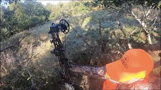 Kansas Public Hunting- Bedded Buck!