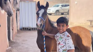 يوميات المربط🐎🤍