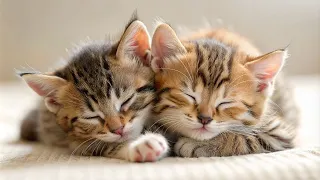 2 Cute Kittens, Sleeping And Hugging - Free images Generated with AI