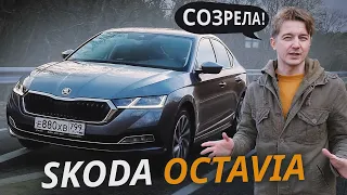 Она вам больше не бюджетник! Skoda Octavia A8 | Наши тесты