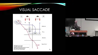 The Neurologic Examination,  Part 3