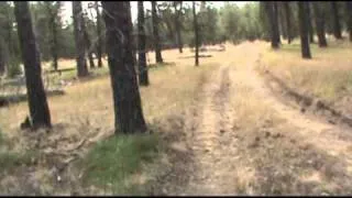 BACKROAD TO THE OLD BATES (AUSTIN), OREGON DUMP - By: Norm Rasmussen