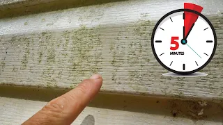 Cleaning House Siding Mold and Algae in Five Minutes
