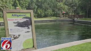 Gator warning to guests at Kelly Park's Rock Springs