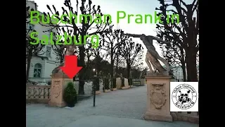 Bushman Prank - Salzburg