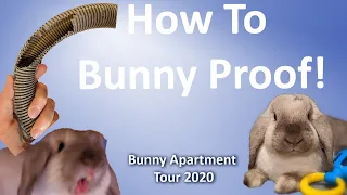 How To Bunny Proof | Bunny Apartment Tour 2020 | My House of Tiny Pets Tutorial