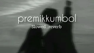 premikkumbol neeyum njanum    slowed + reverb