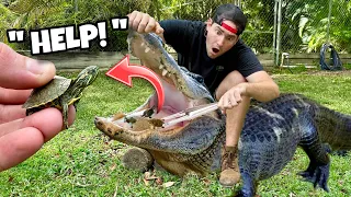 RESCUED BABY TURTLE FROM HUNGRY ALLIGATOR POND ! CAN WE SAVE THEM ?!