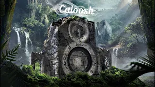 Caloosh - Wise Dub Inna Jungle ( Jungle Dubwise DNB mix 2020 )