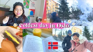 The coldest day so far in Oslo, Norway | -30°C | Life in Norway | @SukanyaBiswas