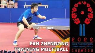 Unbelievable Speed! - Fan Zhendong multiball training in Chengdu
