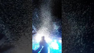 Confetti falls during I Don't Know Why - Imagine Dragons LIVE at Loveloud