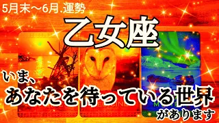 【5月末-6月/乙女座】不思議な巡り合せに導かれてます！人生はなんて素敵なミステリー！ #運勢 #占い #タロット #乙女座 #おとめ座 #5月 #6月