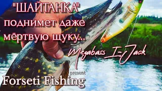 "ШАЙТАНКА" ТОП ПРИМАНКА | ЩУКА ПРОСТО В ЯРОСТИ ОТ Megabass I-Jack FISHING