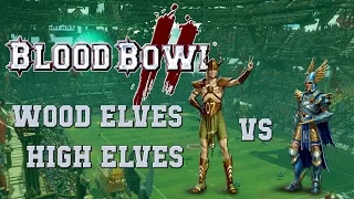 Blood Bowl 2: Wood Elves (the Sage) vs High Elves (Krumsly): Game 5 of the Scooter Nationals