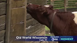 Milwaukee PBS Presents | Inspirational Moments | Old World Wisconsin