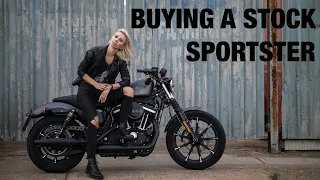 BUYING A HARLEY DAVIDSON SPORTSTER / AIR COOLED / 2022