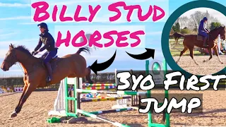 JUMPING MY TRAINER'S NEW HORSE | How big can he go? 🤩| Footluce Eventing