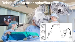 Rehabilitation after Spine Surgery at the Minimus Institute