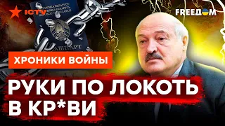 Лукашенко НЕ ОСТАНАВЛИВАЕТСЯ: как усатый ГОНИТ БЕЛОРУСОВ НА РОДИНУ @skalpel_ictv