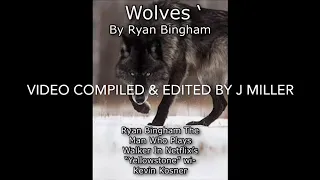 Wolves By “Walker” Ryan Bingham