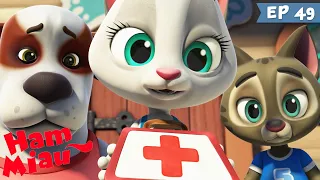 Ham Miau 🐶 Lulu se face doctor 🐱 Desene animate in romana | HeyKids