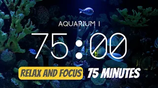 75 minute timer - Relaxing Aquarium atmosphere