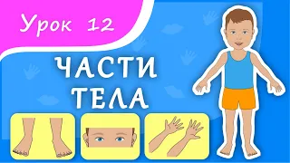 Учим части тела. Урок 12. Части тела для малышей. Развивающее видео для детей (раннее развитие).