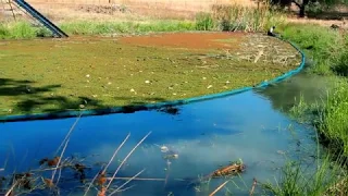 Anaconda® Booms.  Lake and Pond Floating harvesting booms.