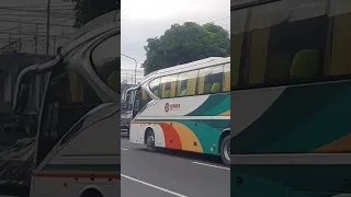 which bus is better DLTBCO or CAGSAWA?