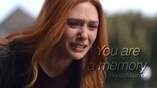 Wanda Maximoff | you are a memory (1x08)