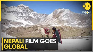 Berlinale 2024: Nepali film 'Shambhala' to compete at Berlin festival | World News | WION
