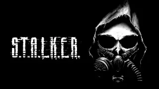 S.T.A.L.K.E.R. Тень Чернобыля! #9 ФИНАЛ?