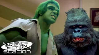 Hulk Meets A Gorilla! | The Incredible Hulk | Science Fiction Station